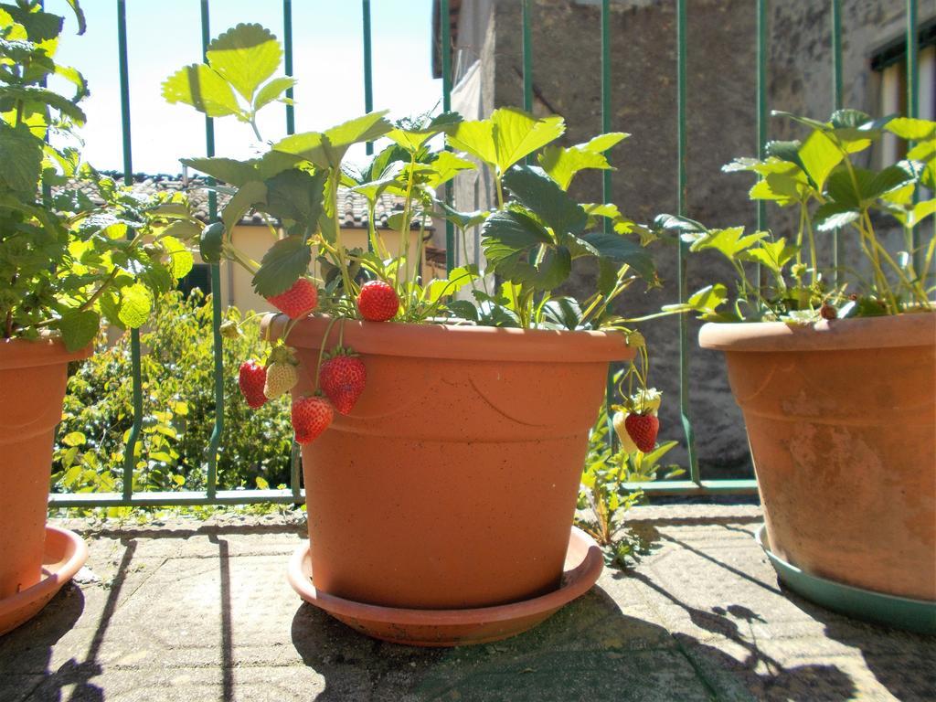 Casa Ginevra Vila Bagni di Lucca Exterior foto